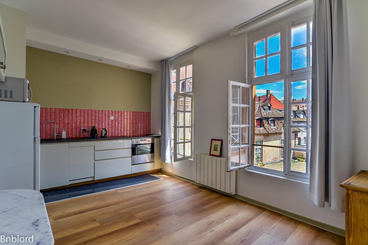 Bel Appartement Hypercentre De Strasbourg Ngoại thất bức ảnh