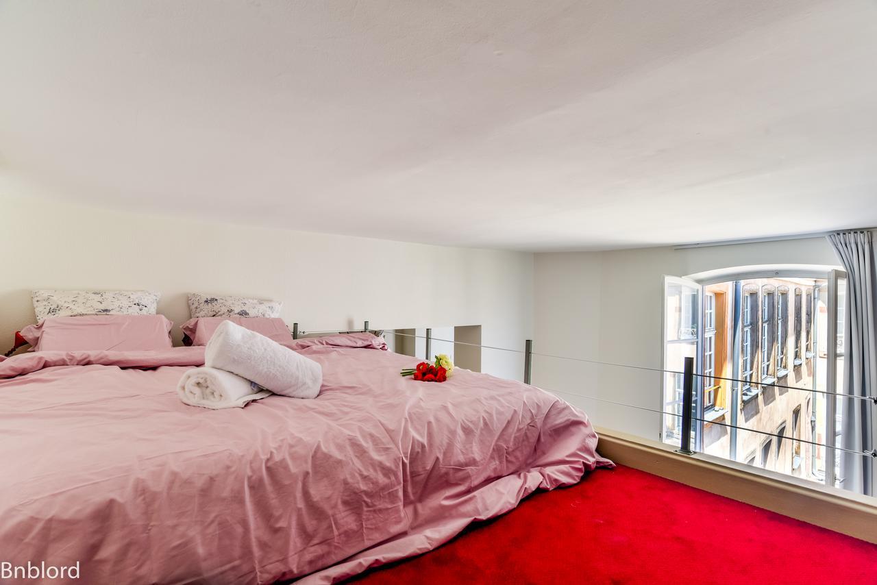 Bel Appartement Hypercentre De Strasbourg Ngoại thất bức ảnh