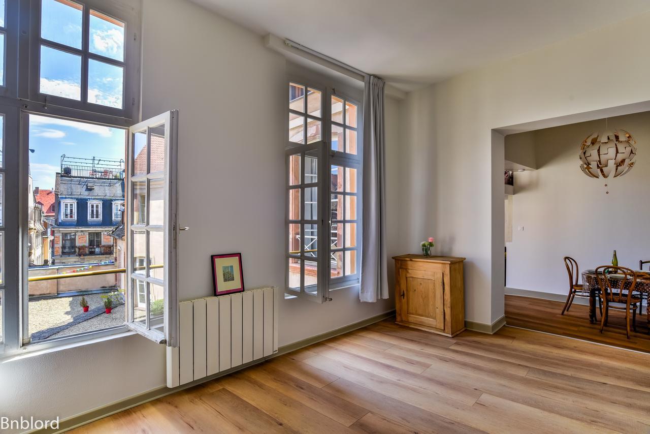 Bel Appartement Hypercentre De Strasbourg Ngoại thất bức ảnh