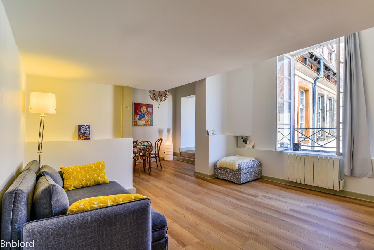 Bel Appartement Hypercentre De Strasbourg Ngoại thất bức ảnh
